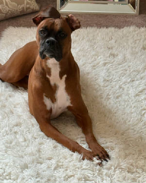 hazel8-4-21rs.jpg