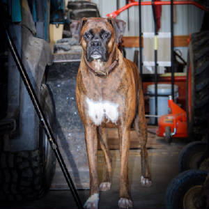 jake12-3-21rs.jpg