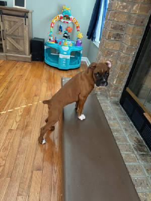 lucy81124ars.jpg
