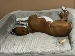 tyson101923f.jpg