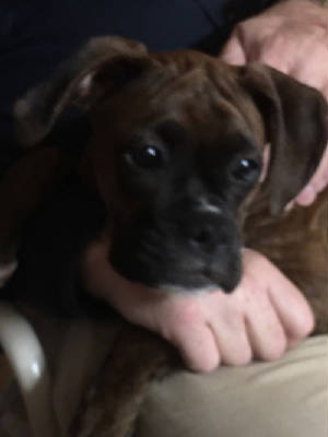 winnie10-27-23rs.jpg